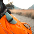Limited Edition 2-Pack Food & Water Rover Bowls
