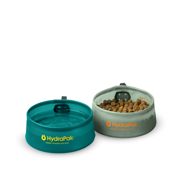 Limited Edition 2-Pack Food & Water Rover Bowls