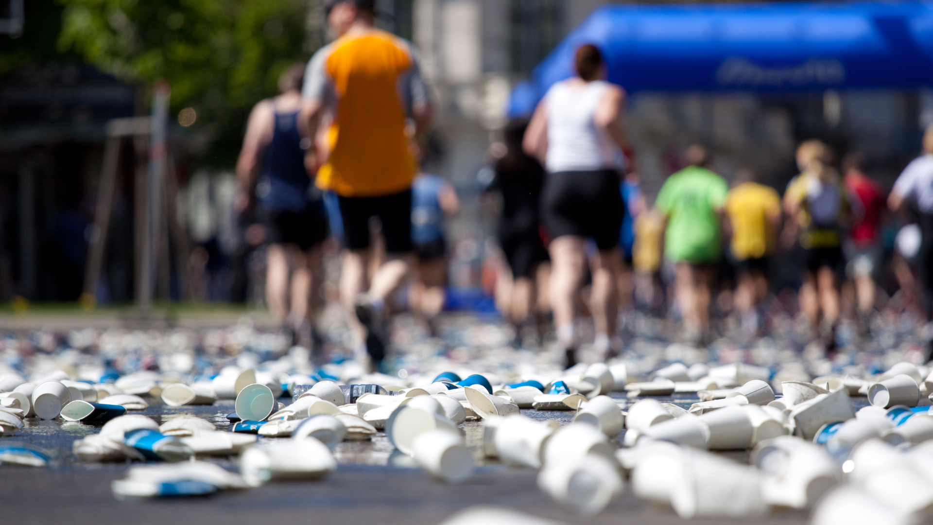 Cupless Racing Program