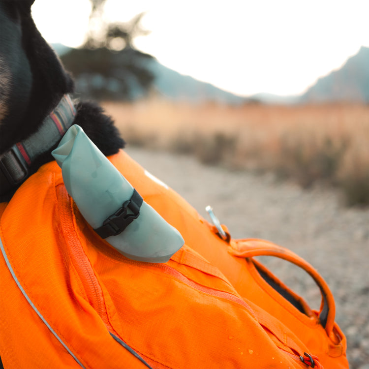 Limited Edition 2-Pack Food & Water Rover Bowls