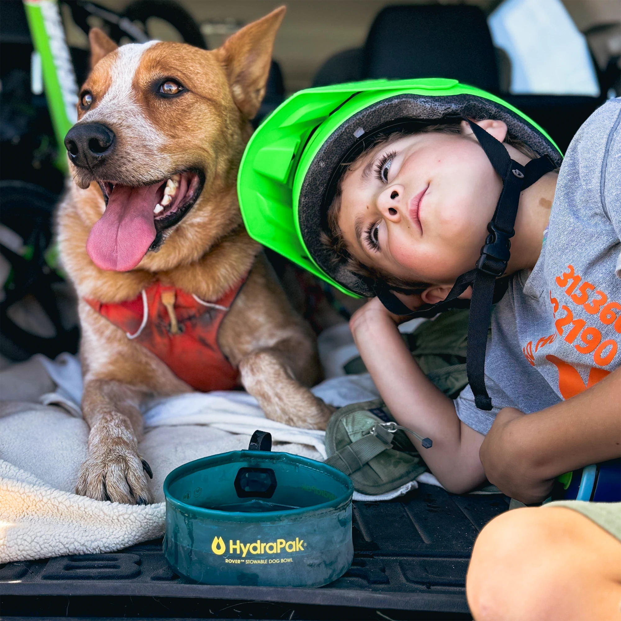Limited Edition 2-Pack Food & Water Rover Bowls